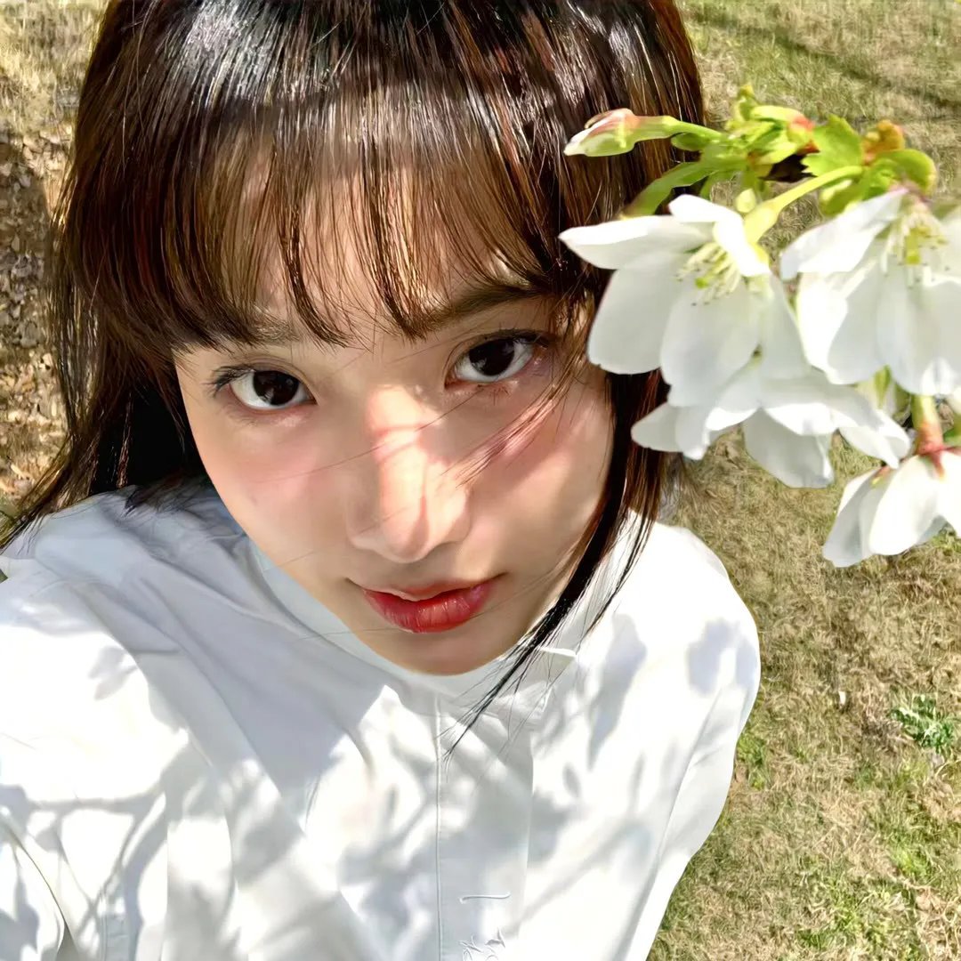 闪光的夏天第二季
